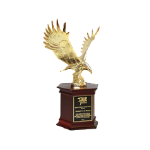 BEST RESIDENTIAL INTERIOR DESIGN 2017